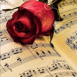 Meet your Posher, Alexandria